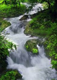 18新利首页关于第三次易学主题郊游的通知