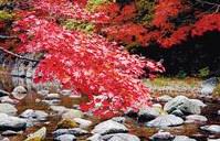 18新利首页关于第三次易学主题郊游的通知