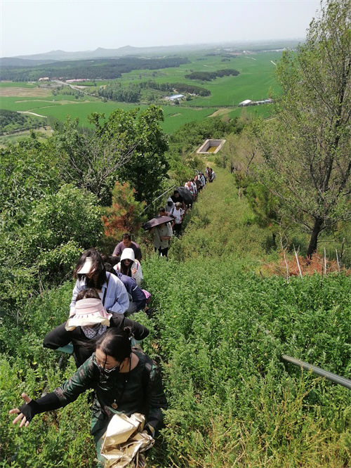 56c51e9b9424c921b6e2c325bf66ebd