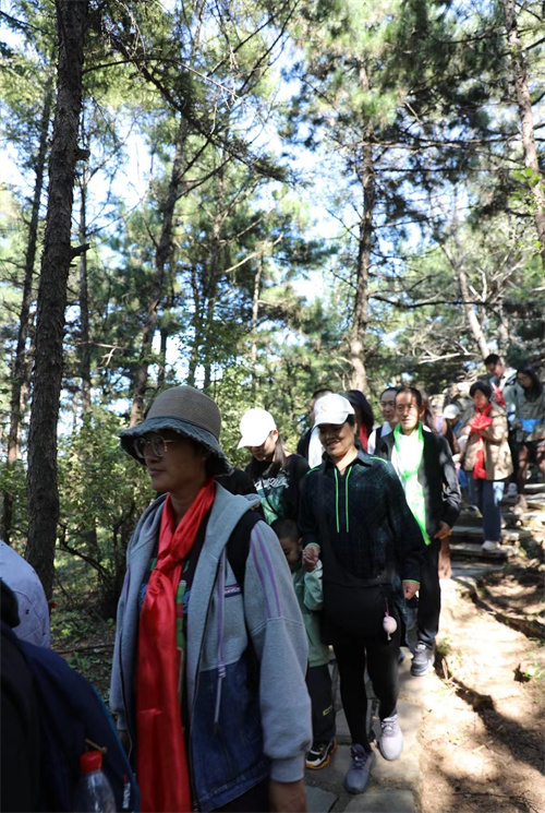 3766aa951e1ddbc4f2273a25e9607a4